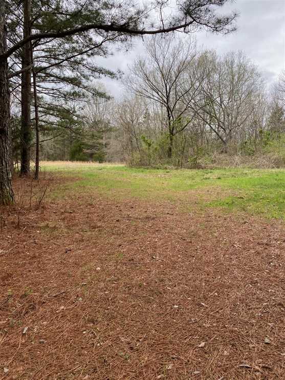 31.2 Acres of Land for sale in lee County, Mississippi