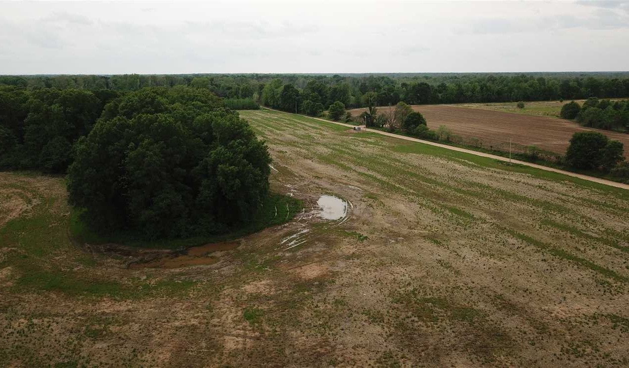 96 Acres of Recreational land for sale in Colt, saint francis County, Arkansas