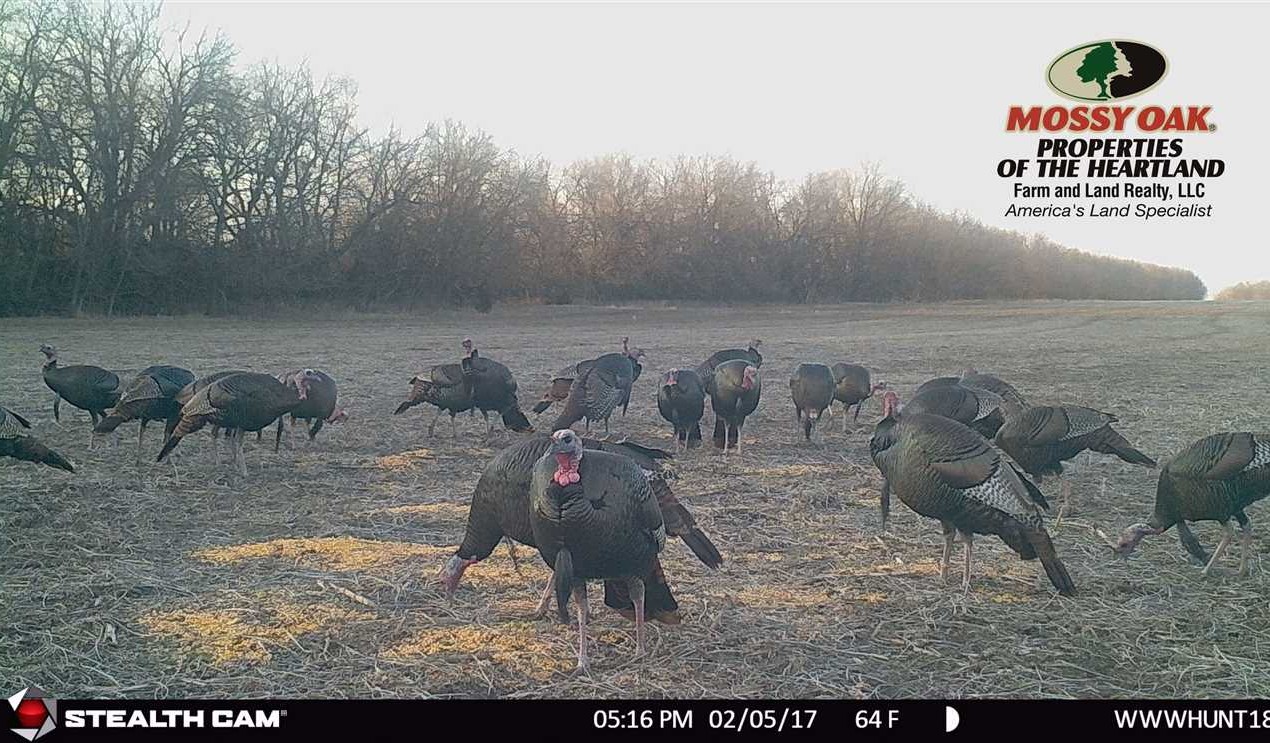 325 Acres of Land for Sale in allen County Kansas