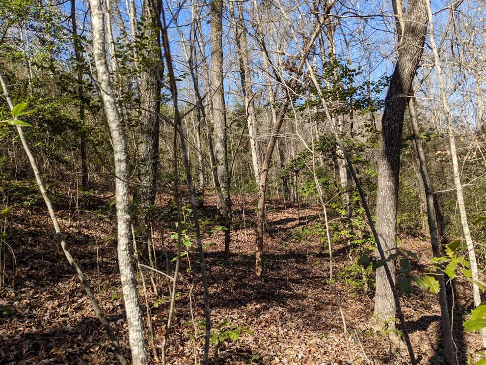 35 Acres of Residential land for sale in Fulton, itawamba County, Mississippi