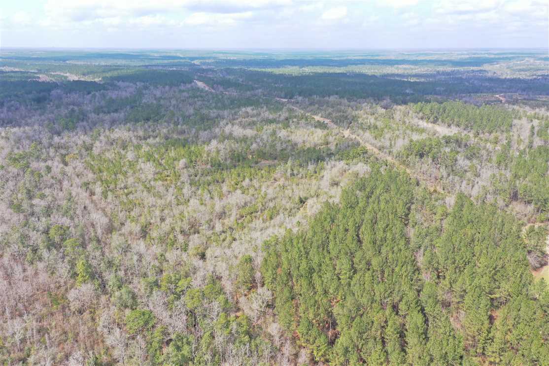 Houses and land for sale in Alabama