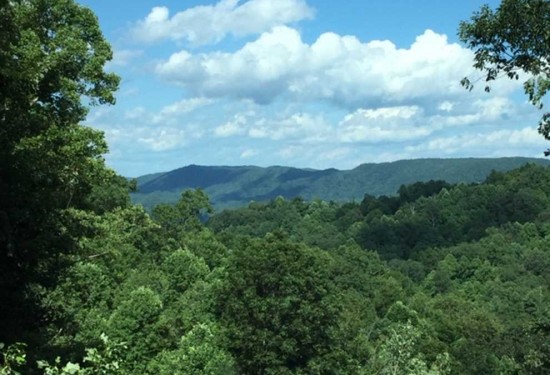11.03 Acres of Land for Sale in caldwell County North Carolina