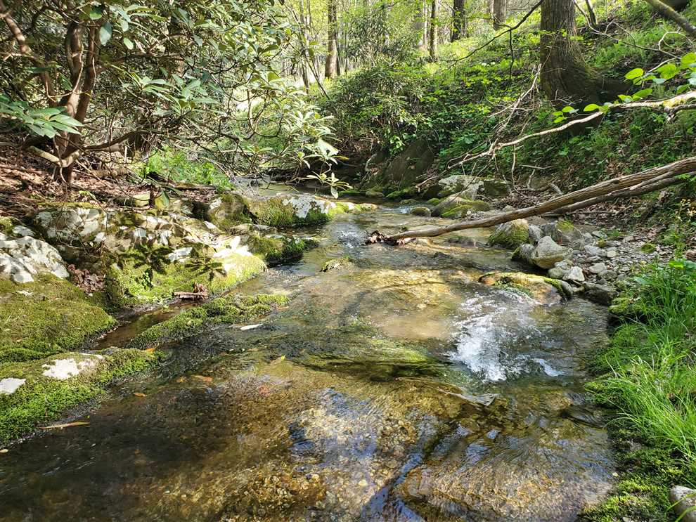 Land for sale at near 9433 Blackberry Road
