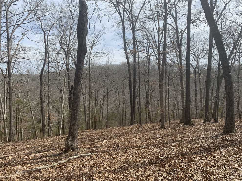 73 Acres in Christian County Missouri Real estate listing