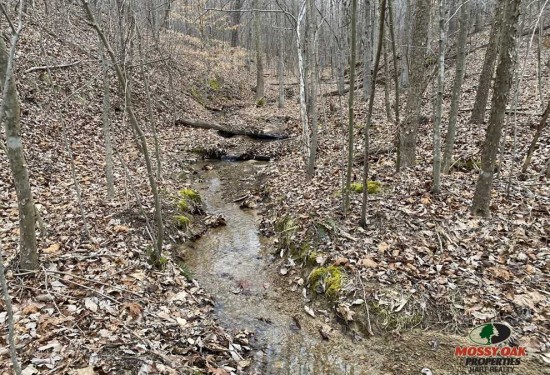 157 Acres of Land for Sale in grayson County Kentucky