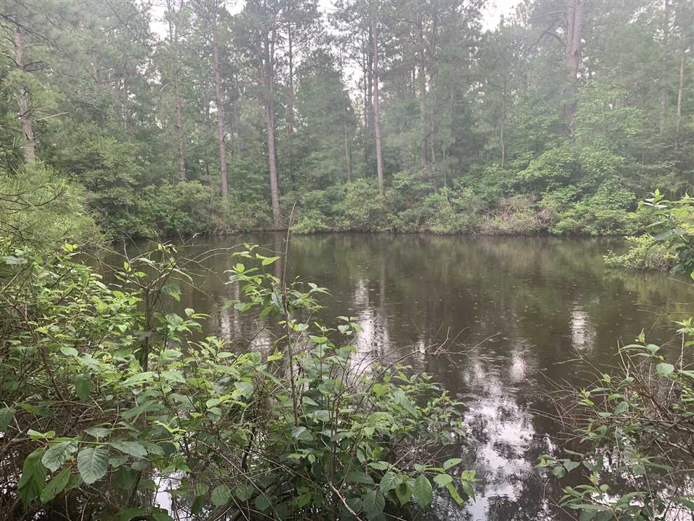 Property for sale at