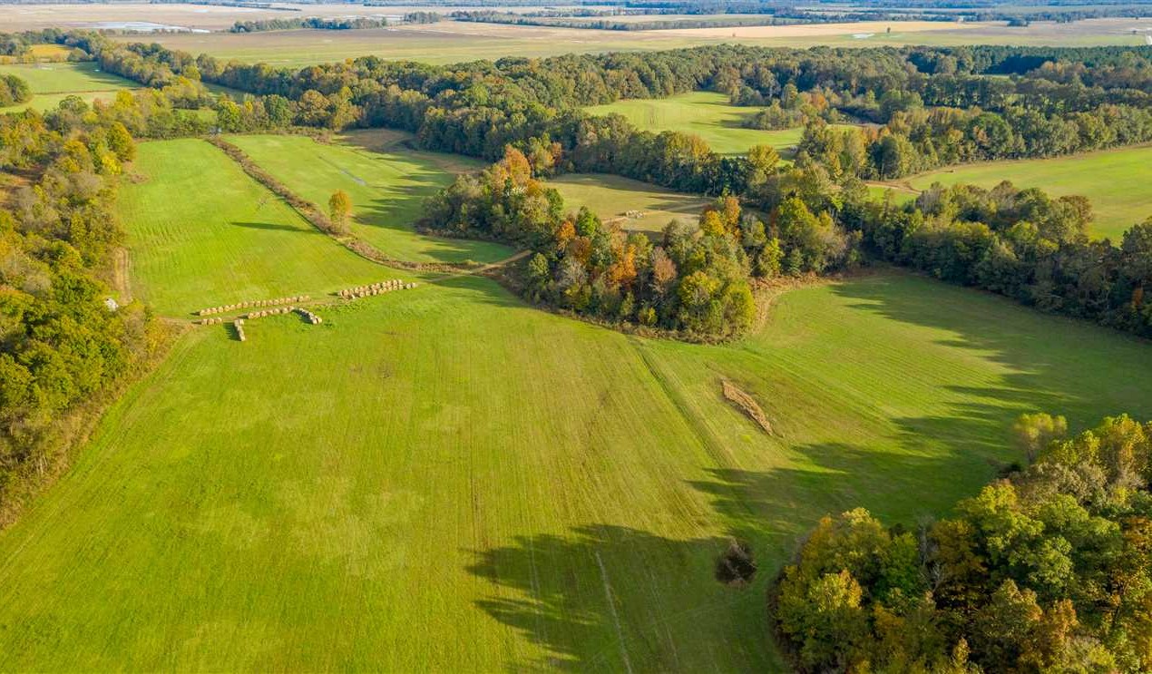 72 +/- Acres, Hay field, Lick Creek, Cord, AR, Independence County Real estate listing