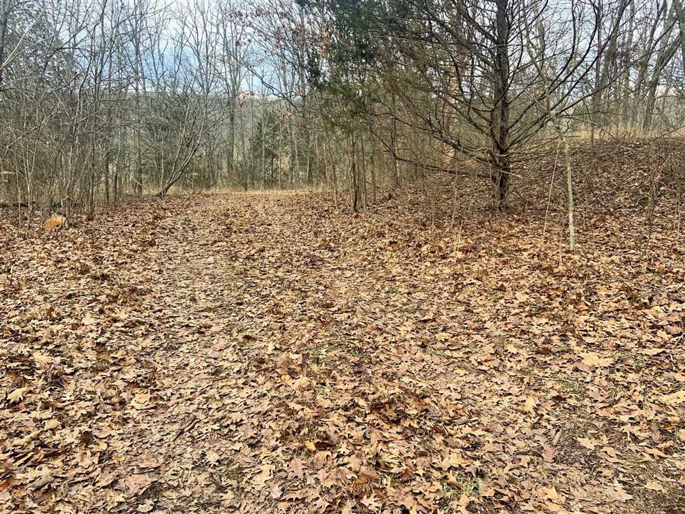 Land for sale at 20242 Mount Olive Rd