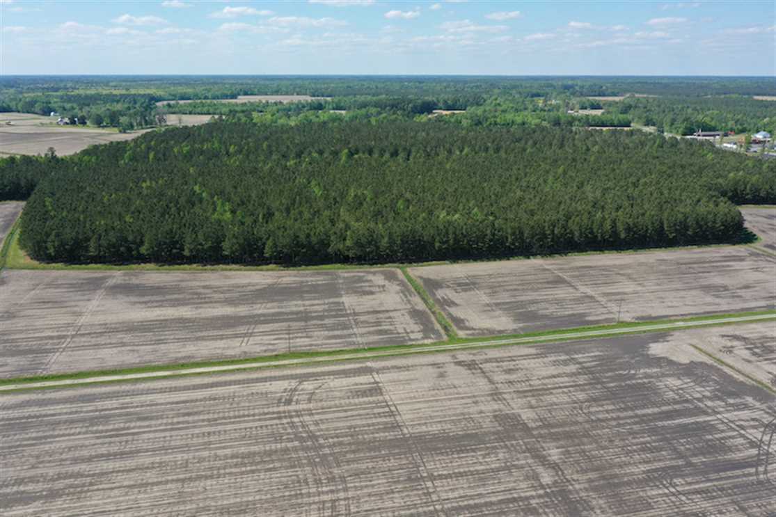 36 Acres of Recreational land for sale in Vanceboro, craven County, North Carolina