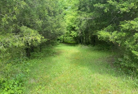 24 Acres of Land for Sale in hart County Kentucky