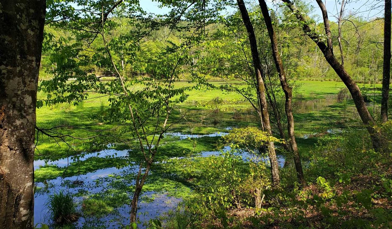 89.5 Acres of Residential land for sale in Clover, york County, South Carolina