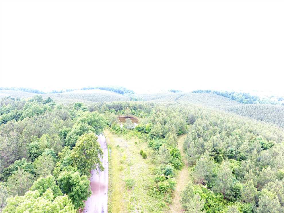 Knob Creek Road 143 acres Real estate listing