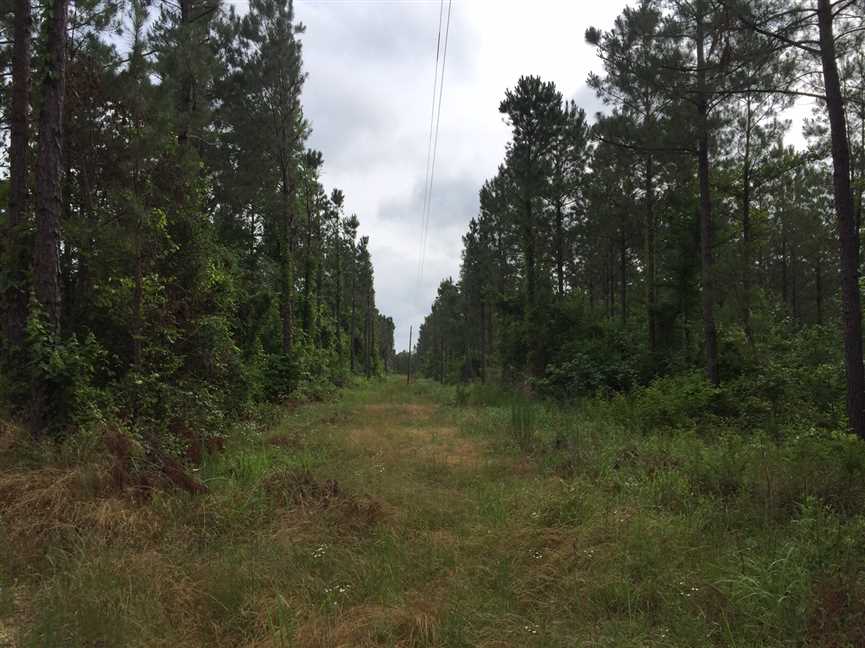 union County, Louisiana property for sale