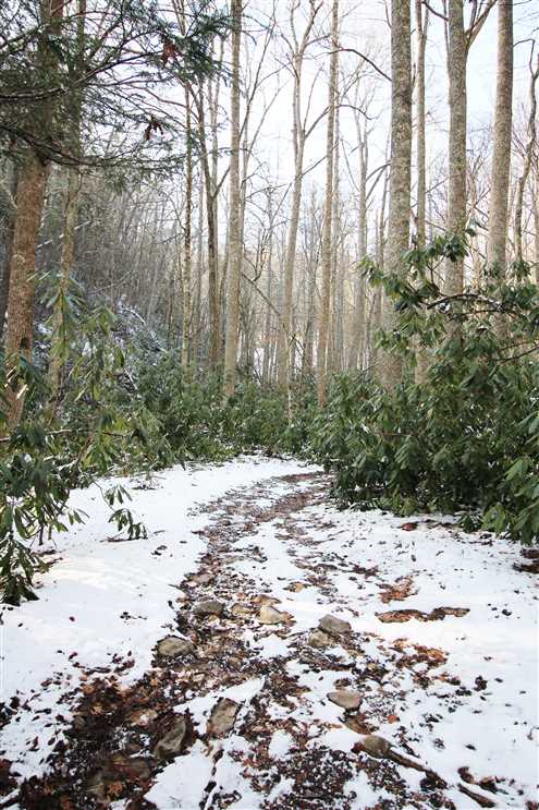 Land for sale at 00 Beaver Dam Road