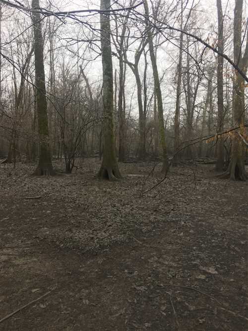 320 Acres of Land for sale in jackson County, Arkansas