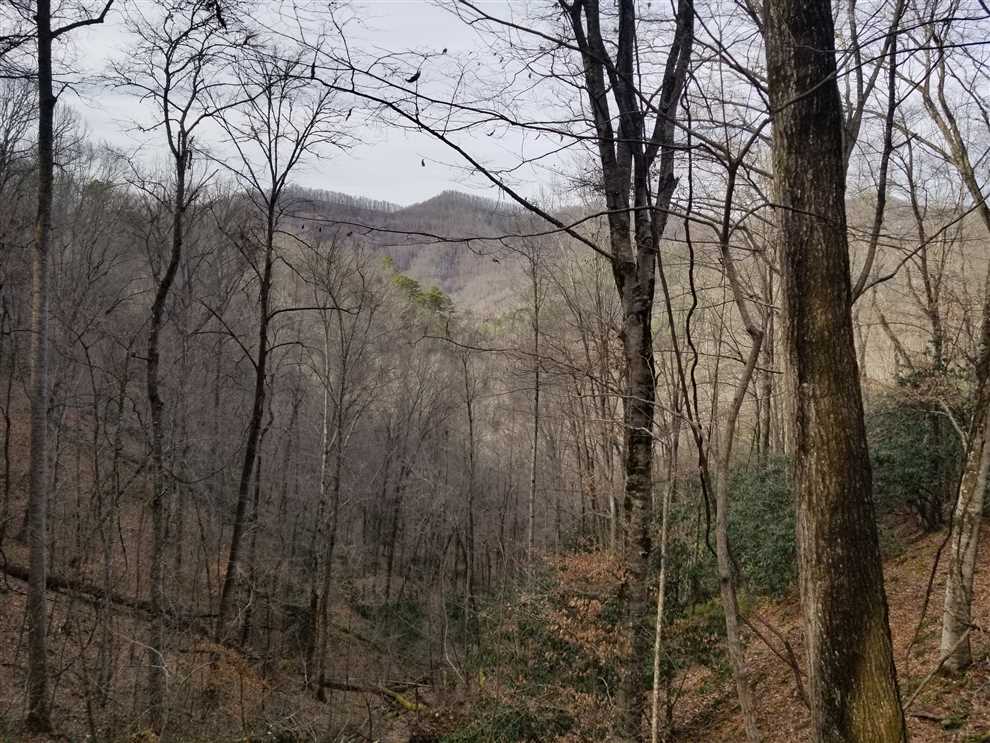 49 Acres of Land for sale in swain County, North Carolina
