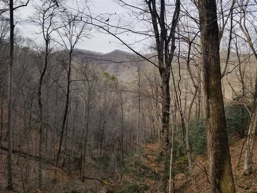 49 Acres of Land for Sale in swain County, North Carolina