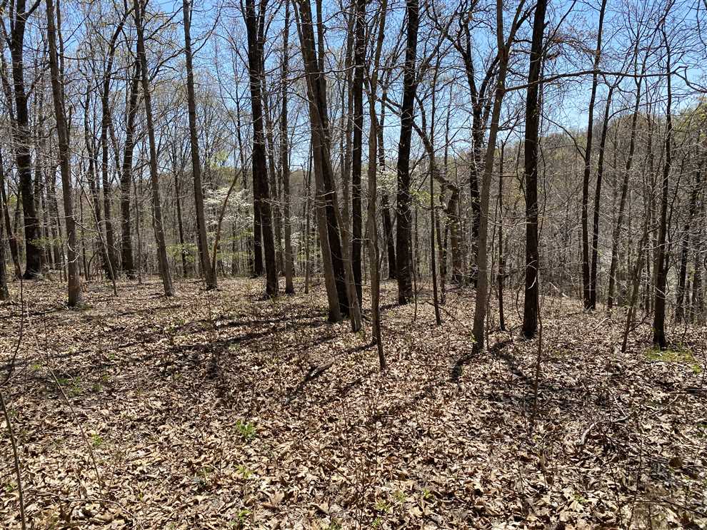 Residential and   property for sale on The Land Market