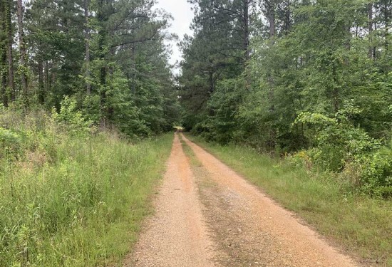 190 Acres of Land for Sale in webster County Louisiana