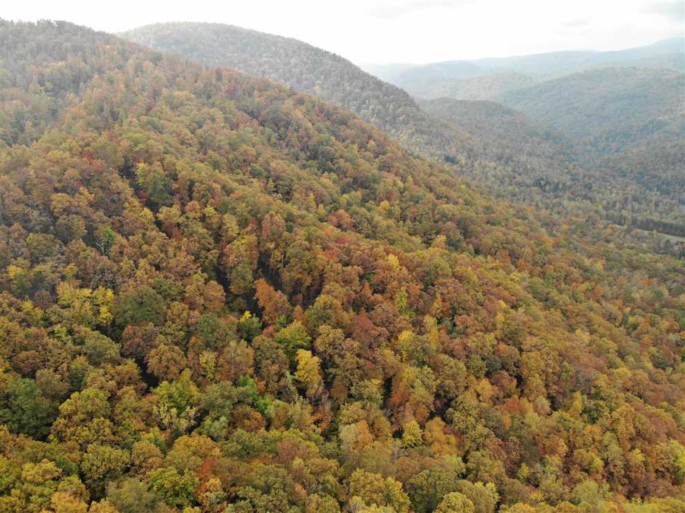 Houses and land for sale in North Carolina