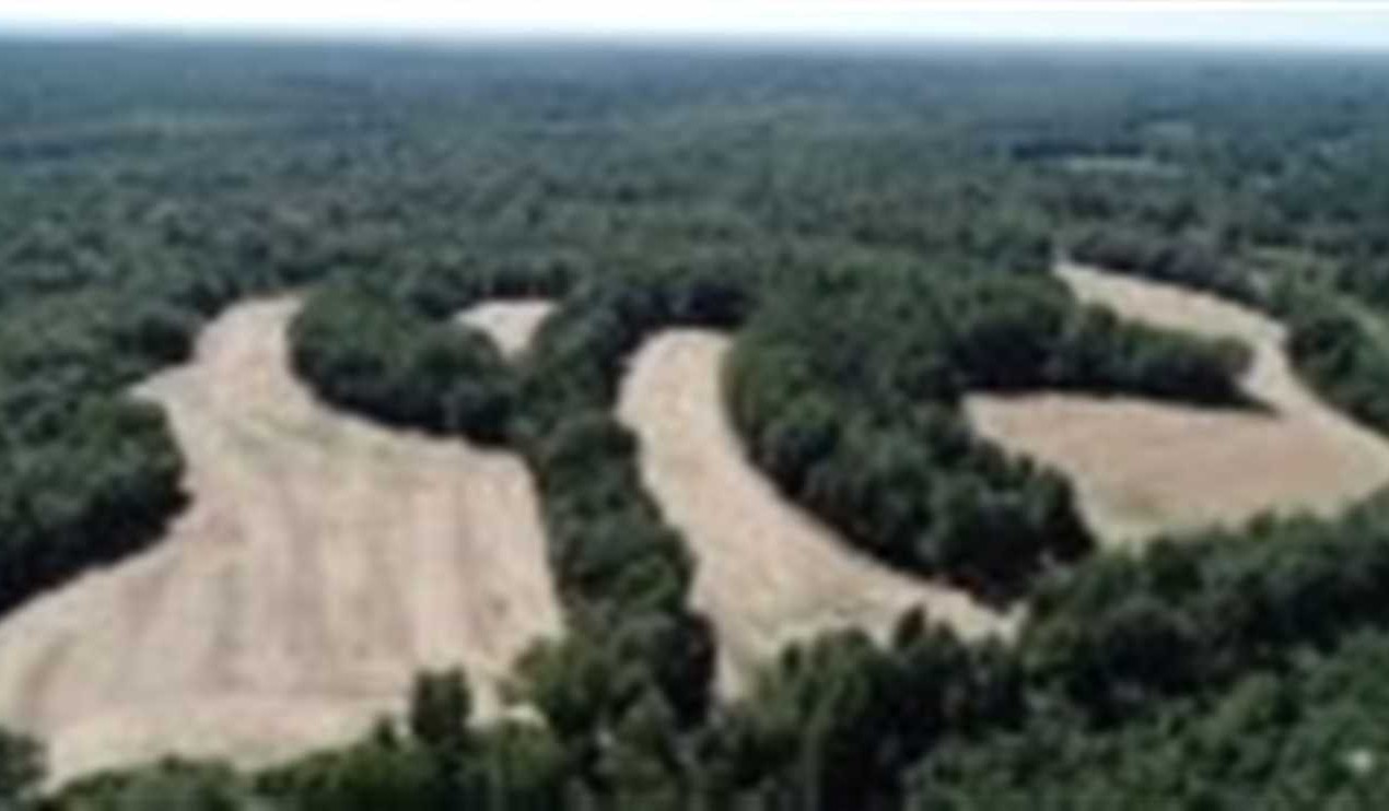 Recreational land real estate to buy in itawamba County MS