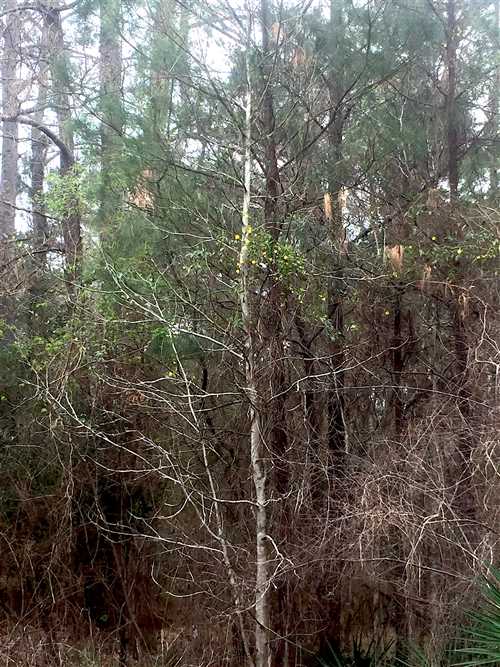 Property for sale at