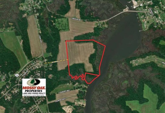 47 Acres of Land for Sale in isle of wight County Virginia