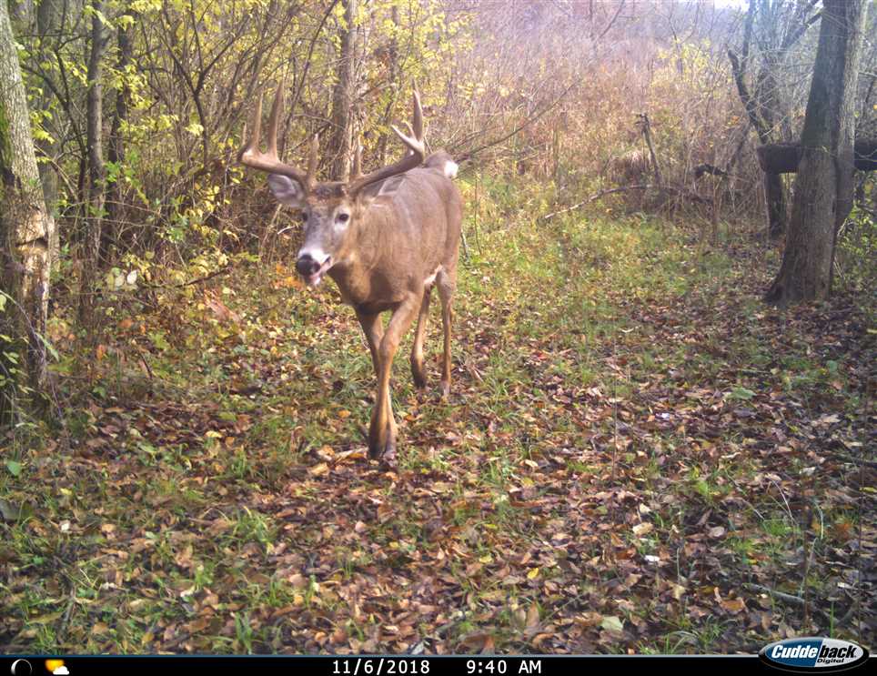 33 Acres of Recreational land for sale in Marcellus, cass County, Michigan