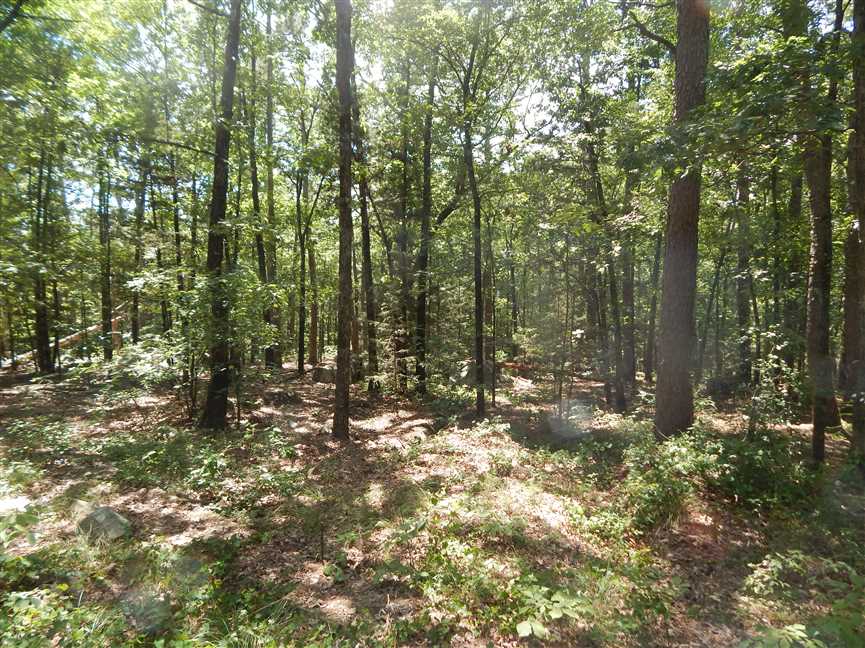 Development real estate available to buy
