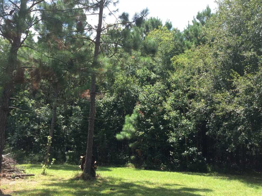 North Boggy Creek Tract, Beauregard Parish, 11 Acres +/- Real estate listing