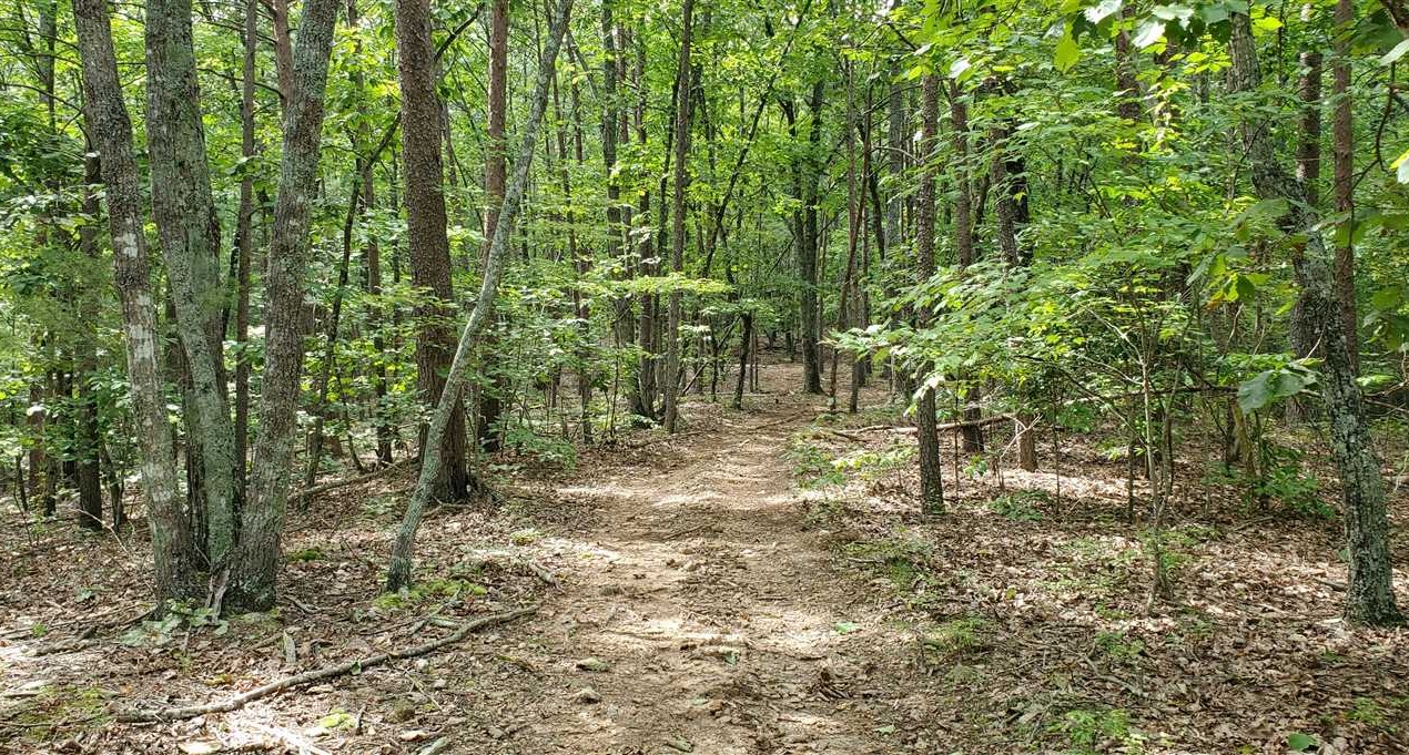 Land for sale to buy in 28018 zip code