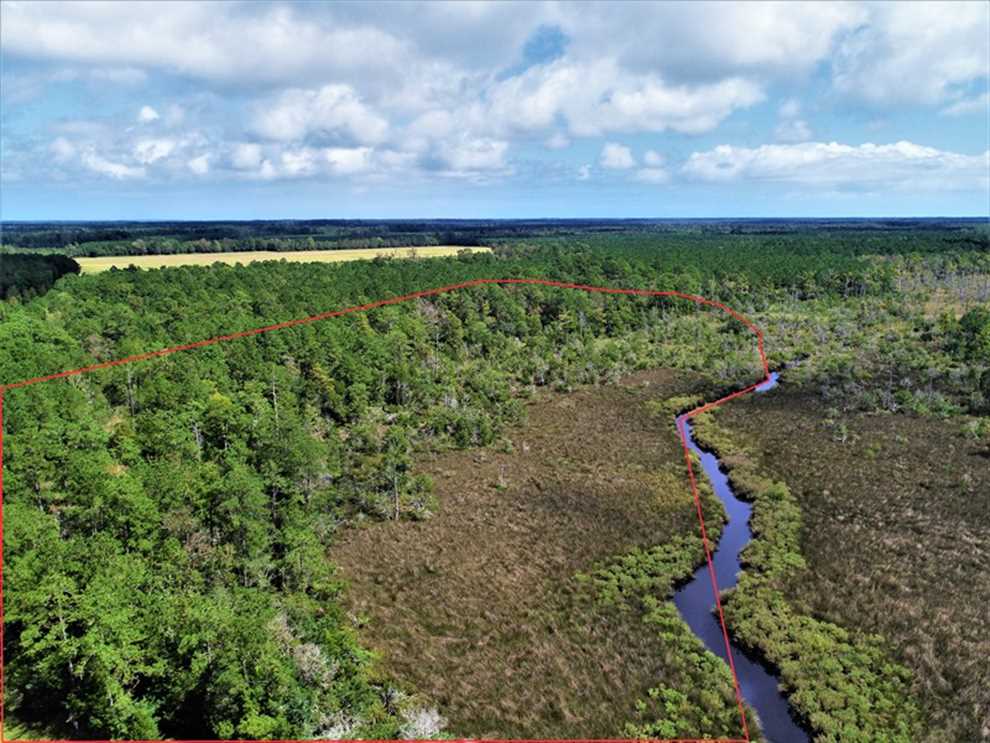 pamlico County, North Carolina property for sale