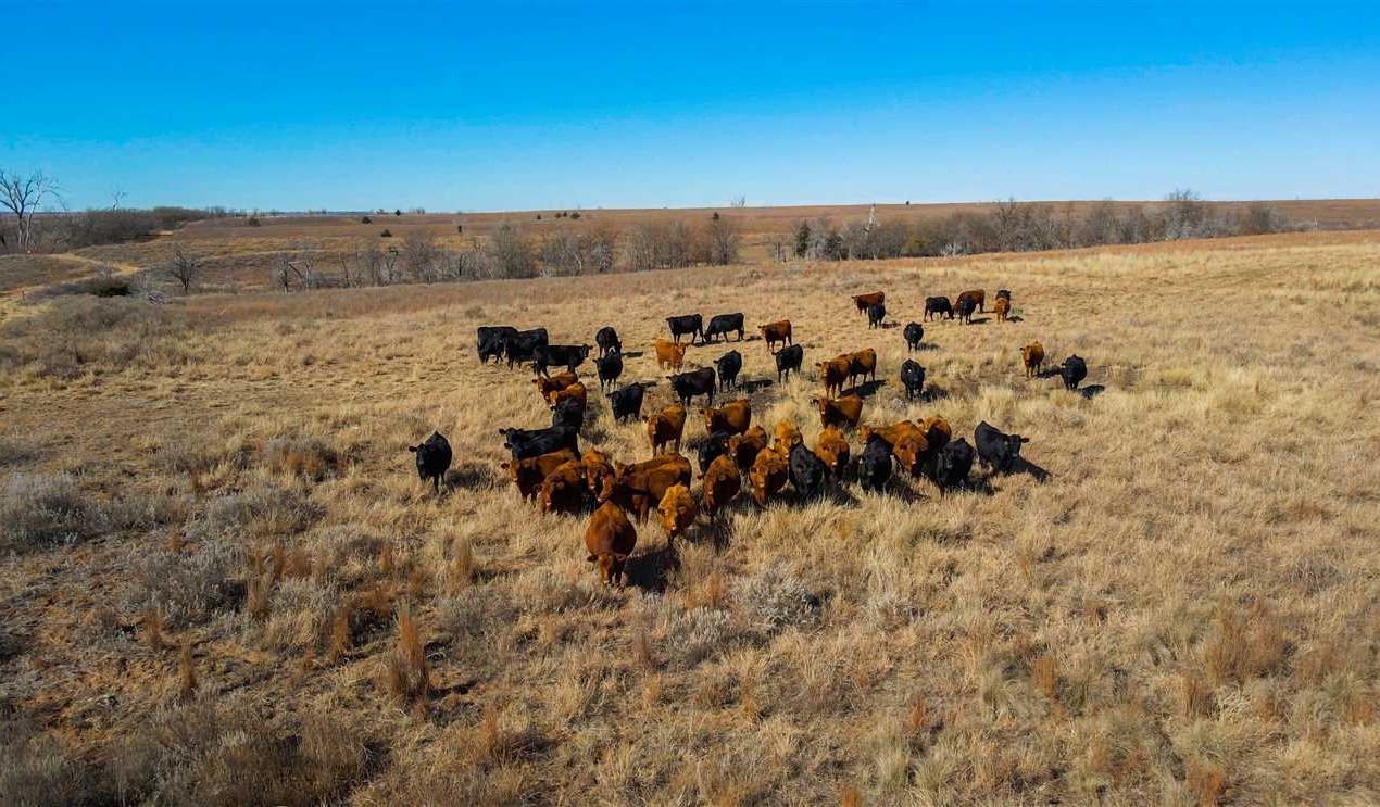 800 Acres of Land for sale in wheeler County, Texas