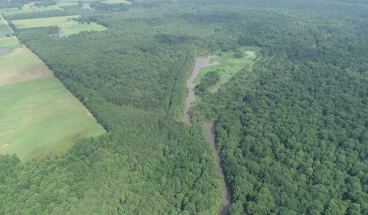 Timberland real estate available to buy