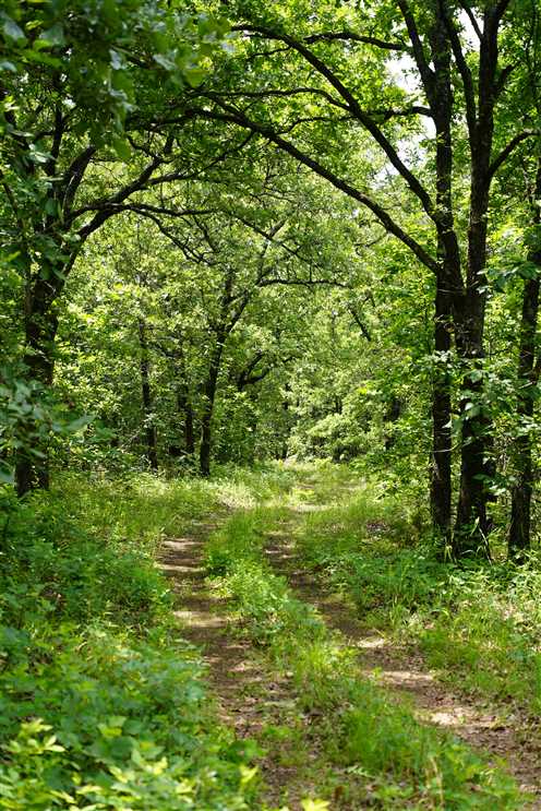 320 Acres of Residential land for sale in Sand Springs, tulsa County, Oklahoma