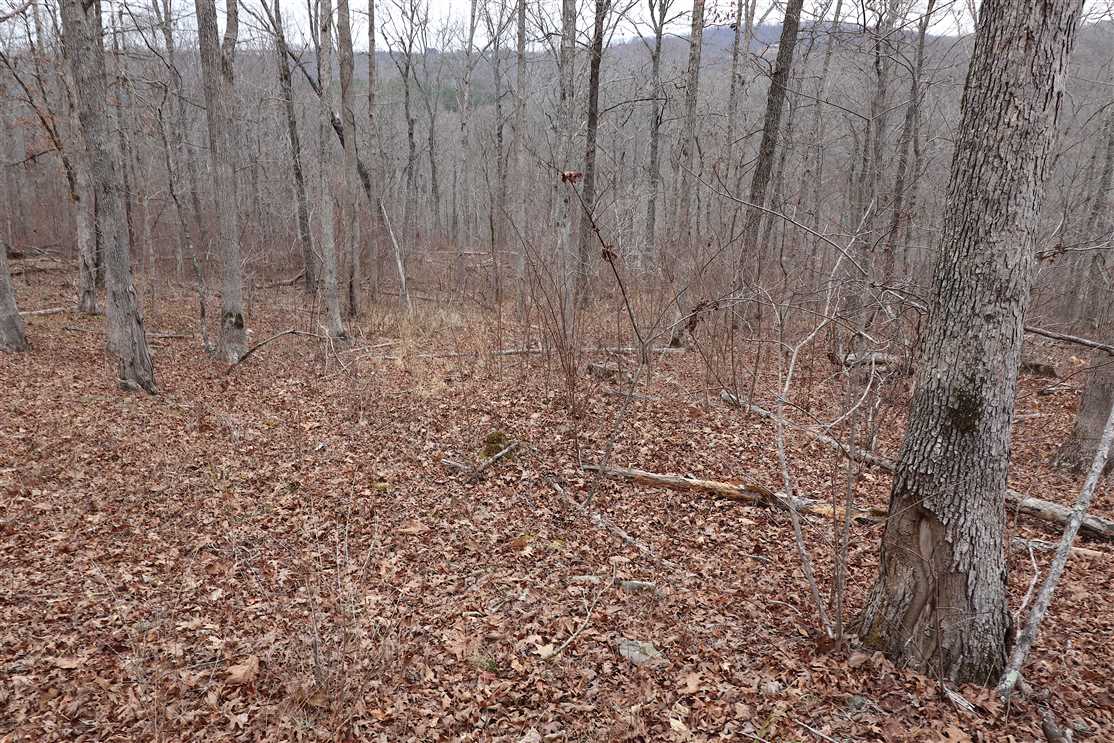Property for sale at