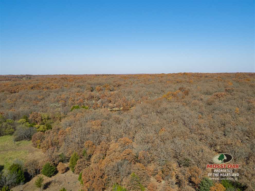 253.8 Acres of Recreational land for sale in Sedan, chautauqua County, Kansas