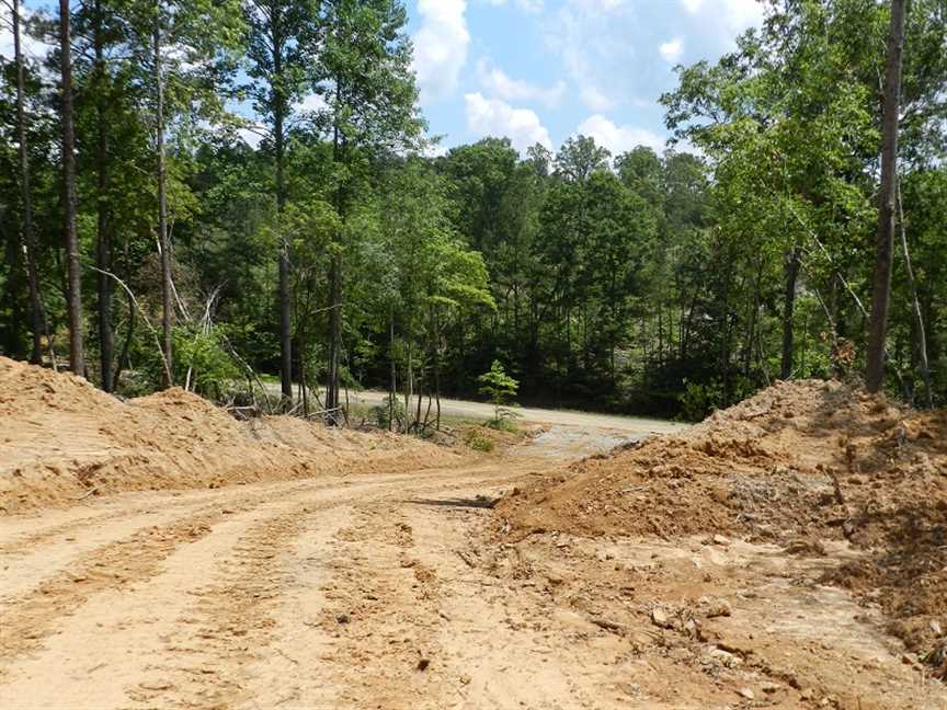 116 Acres of Residential land for sale in Hamilton, marion County, Alabama