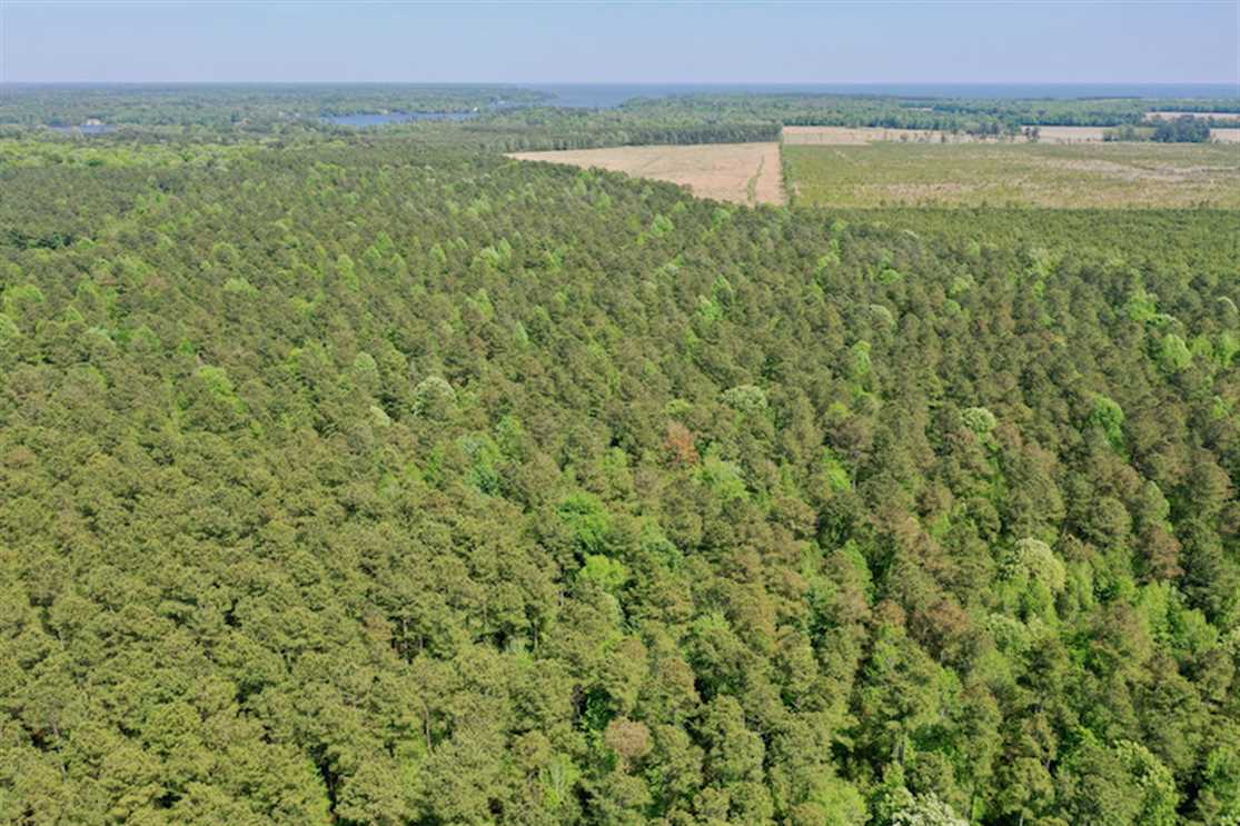 chowan County, North Carolina property for sale