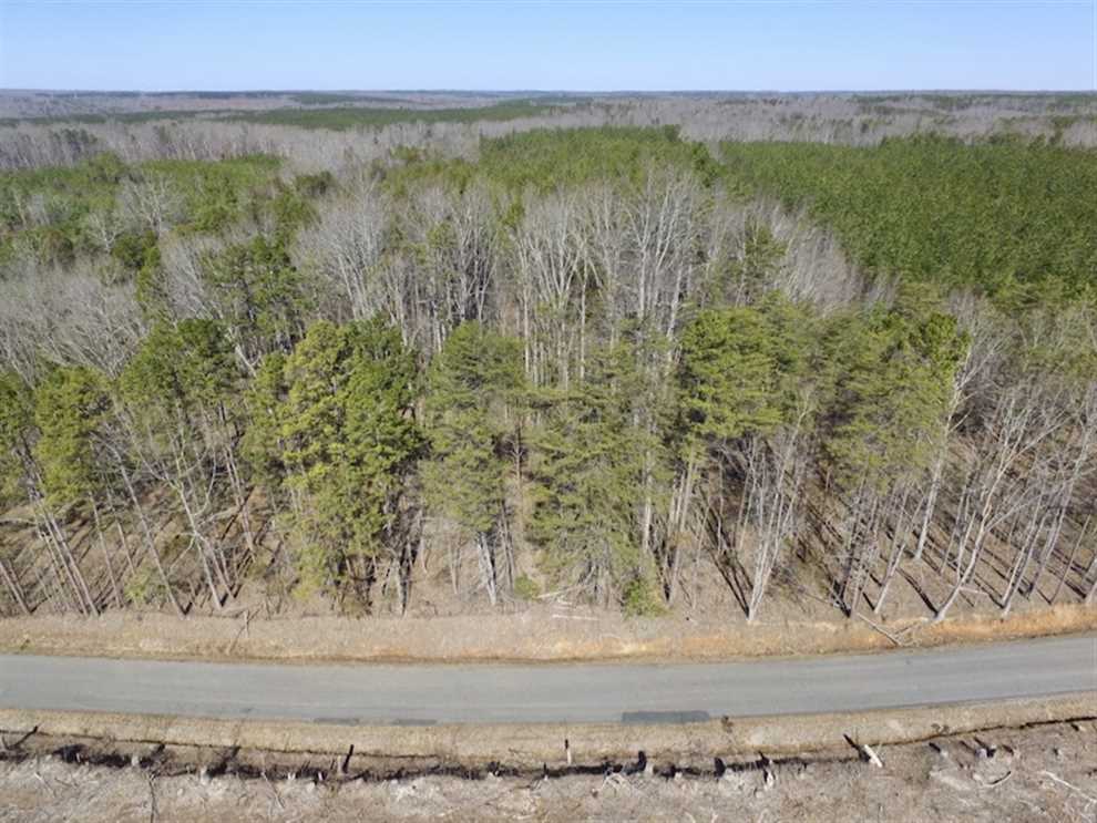 Timberland real estate available to buy