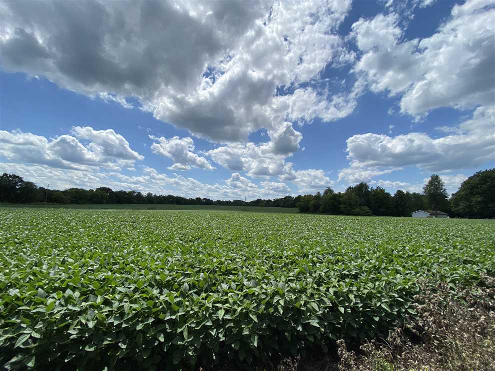 40 Acres of Farmland land for sale in Pendleton, madison County, Indiana