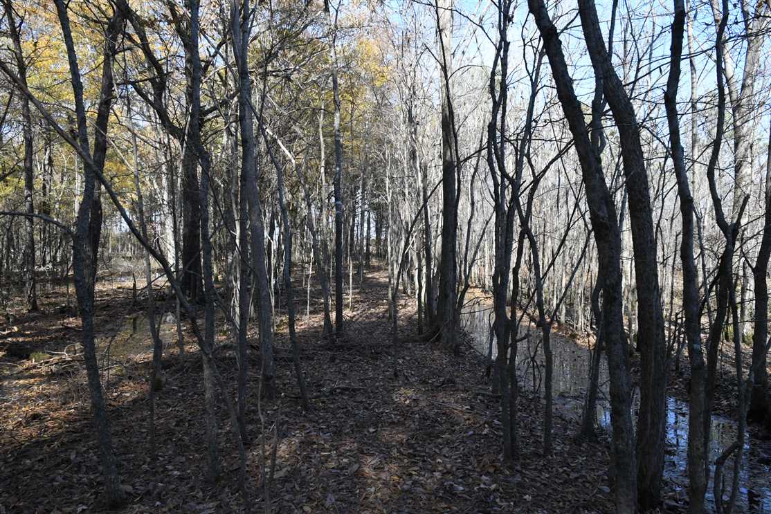 80 Acres of Land for sale in monroe County, Arkansas