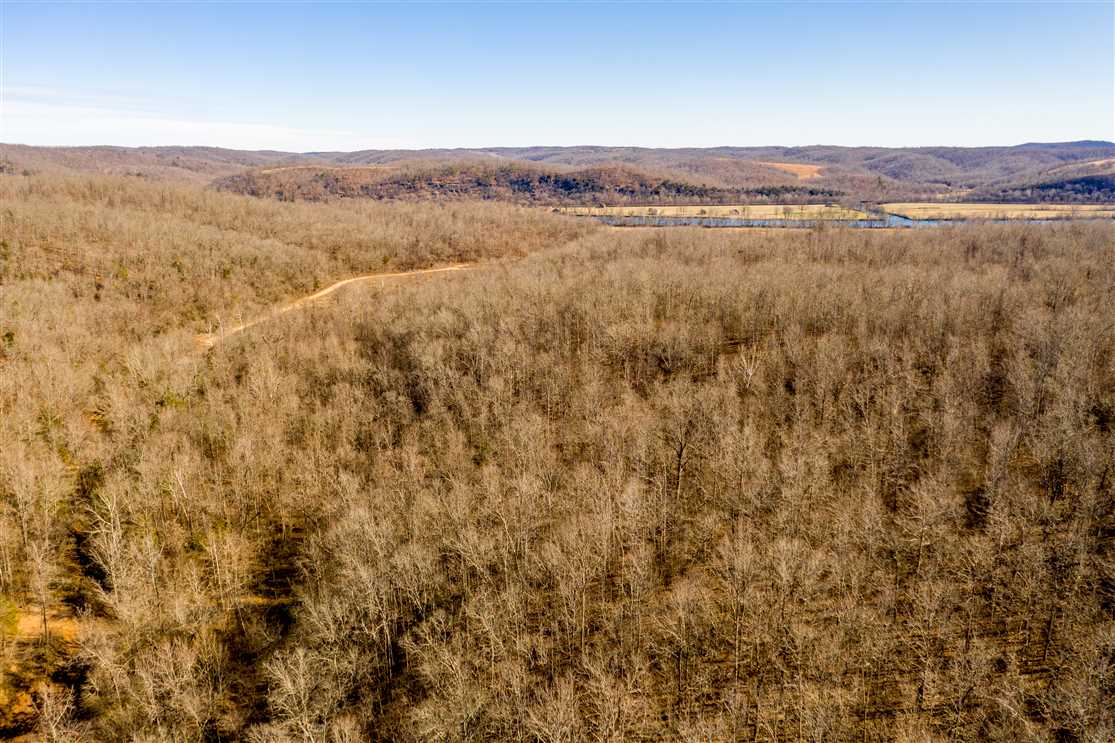 733 +/- Acres with White River Frontage, Hayfield with some Pasture, Stone County, AR Real estate listing