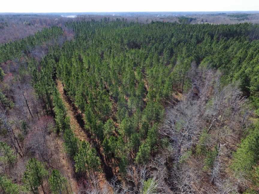 Land for sale to buy in 23927 zip code
