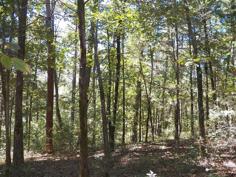 Land for sale to buy in 72031 zip code