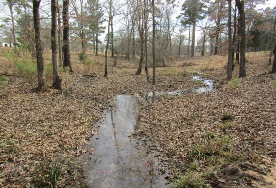 35 Acres of Land for Sale in pushmataha County Oklahoma
