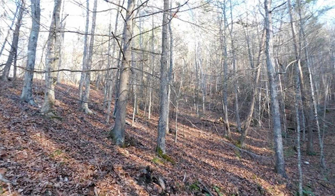pulaski County, Virginia property for sale