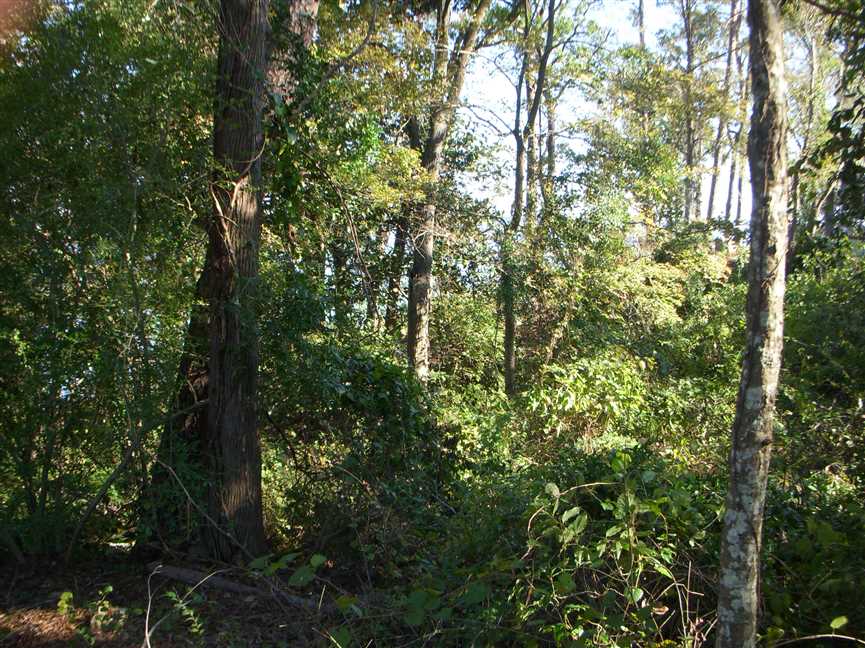 0.44 Acres of Development land for sale in Abbeville, henry County, Alabama