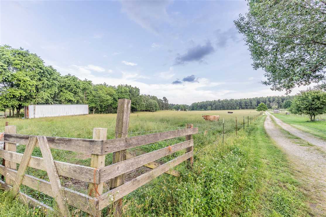 22 Acres of Residential land for sale in Ellsinore, carter County, Missouri