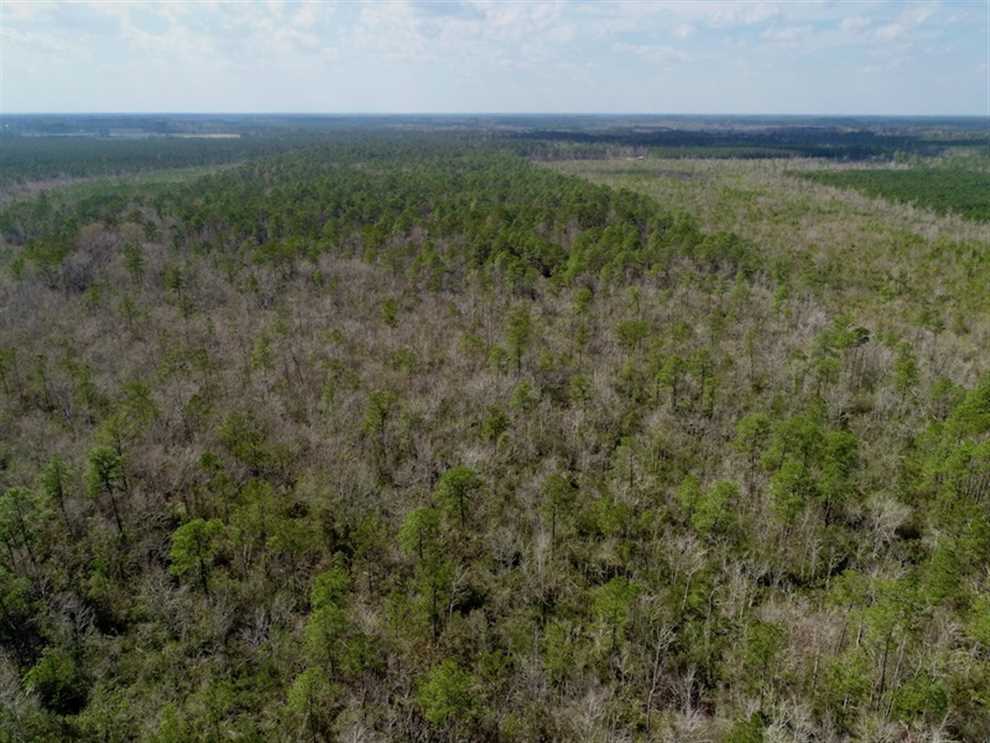 92.6 Acres of Land for sale in martin County, North Carolina